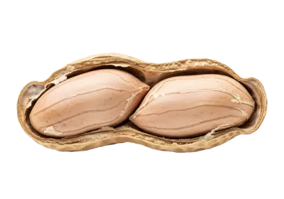 Imagen PNG para descargar